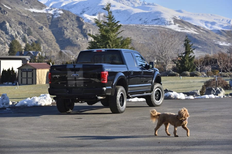 2017 Ford F-150 13th Gen - Image 21 of 31