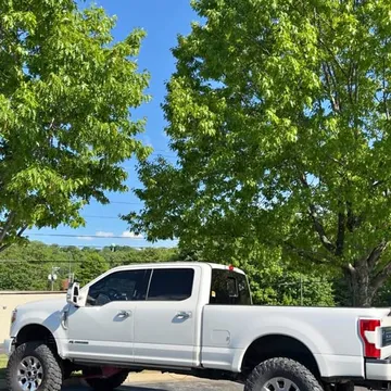 2017 Ford F250 Super Duty Regular Cab Platinum