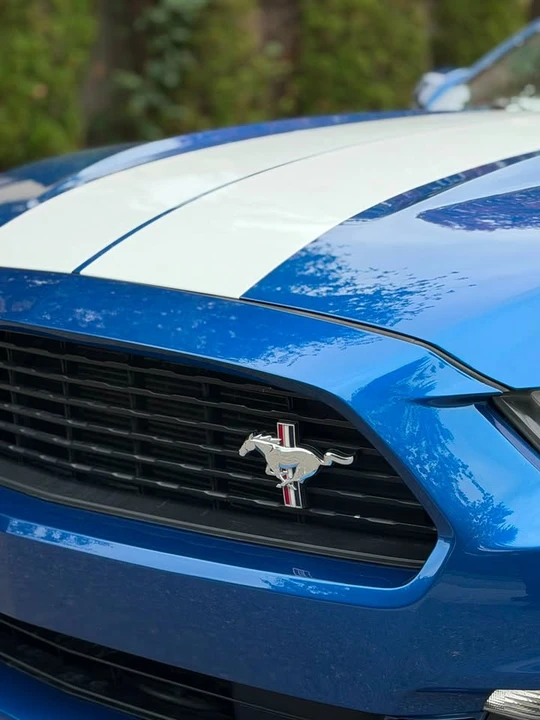 2017 Ford S550 Mustang - Image 9 of 19