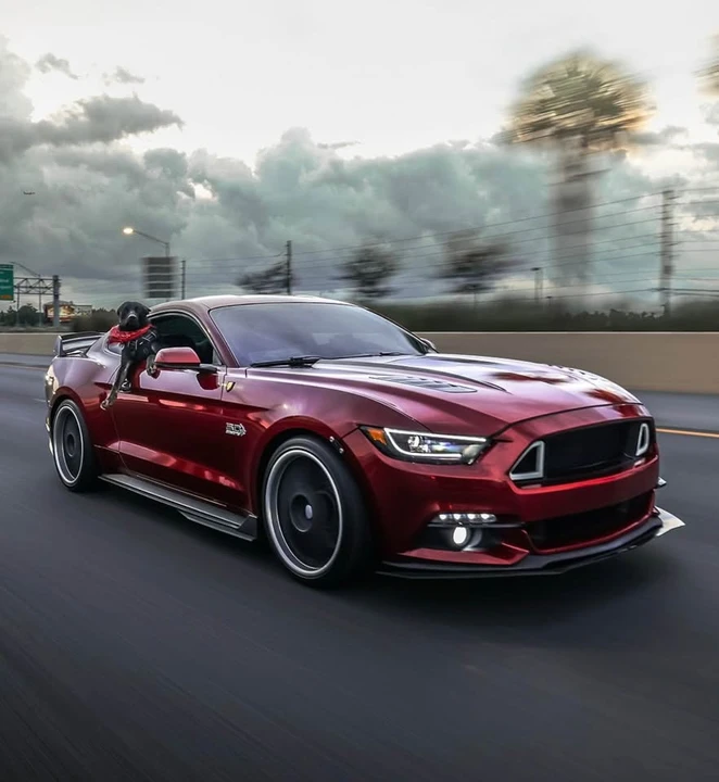2017 Ford S550 Mustang GT - Image 8 of 8