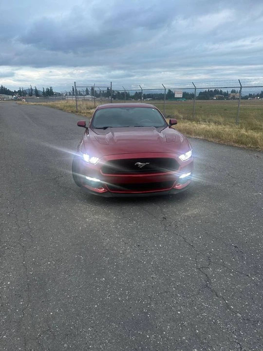 2017 Ford S550 Mustang GT - Image 4 of 10