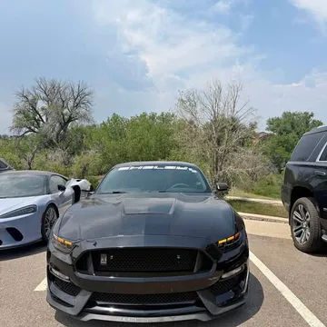2017 Ford Mustang Shelby GT350 Coupe