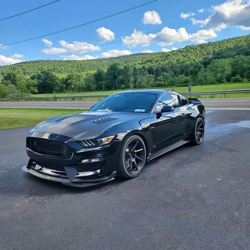 2017 Ford Mustang Shelby GT350 Coupe 2D