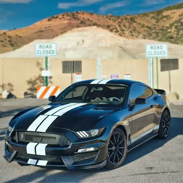 2017 Ford Mustang Shelby GT350 Coupe 2D