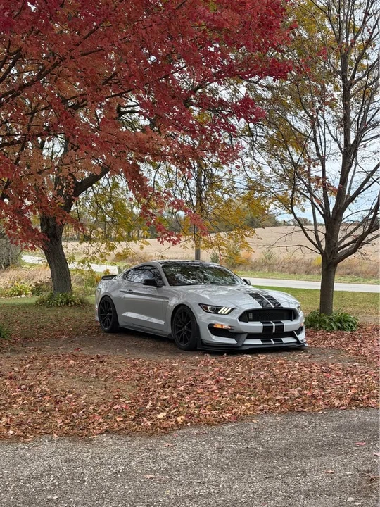 2017 Ford S550 Mustang - Image 4 of 10