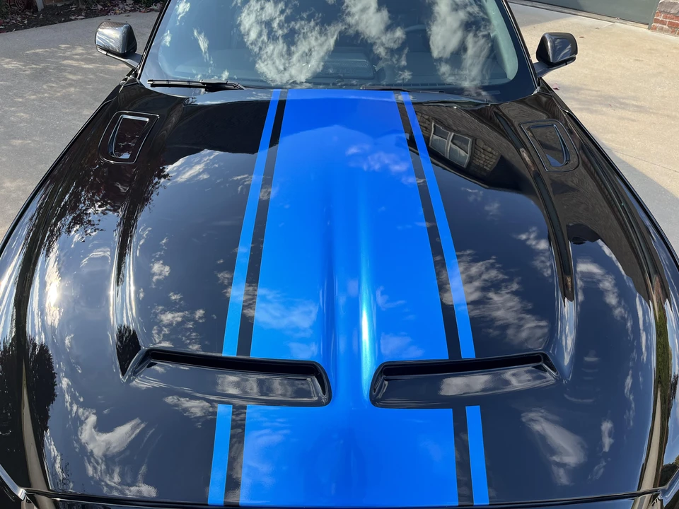 2017 Ford S550 Shelby Mustang GT & GT-H & Terlingua & GTE - Image 29 of 31