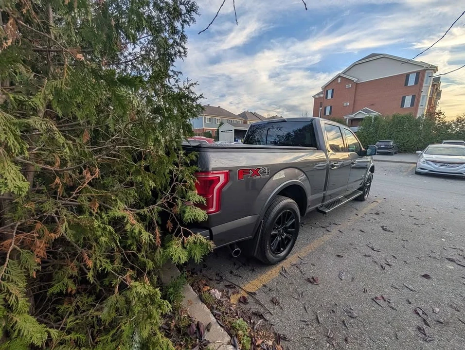 2017 Ford F-150 13th Gen - Image 3 of 14
