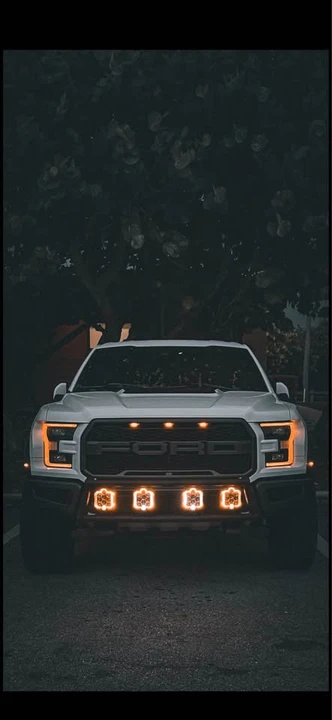 2017 Ford F-150 Raptor 13th Gen - Image 2 of 13