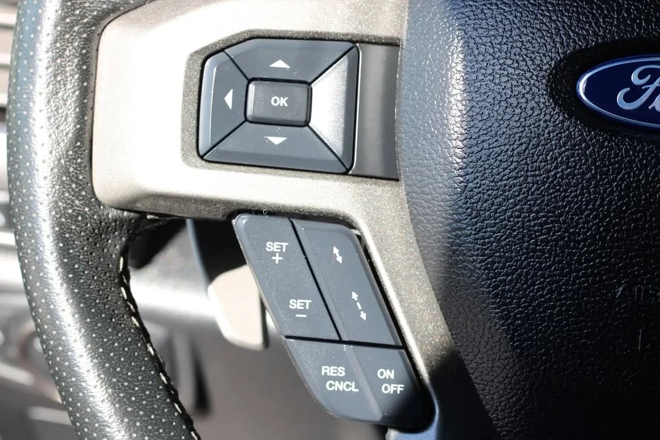 2017 Ford F-150 Raptor 13th Gen - Image 16 of 19