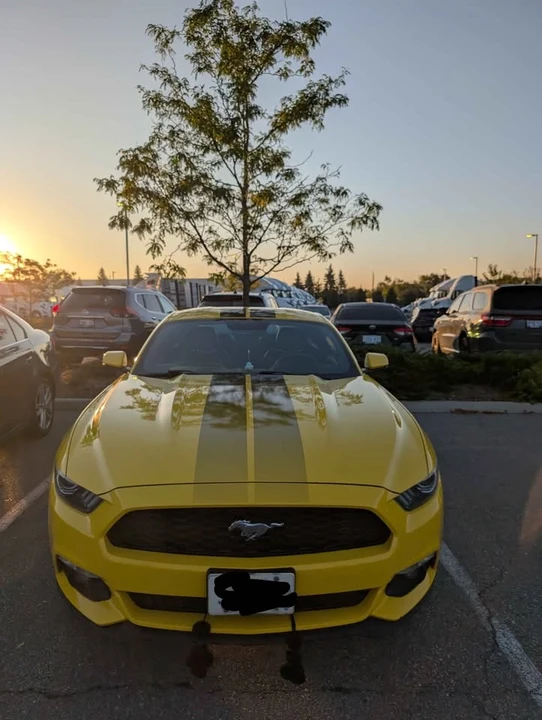 2017 Ford S550 Mustang - Image 2 of 11