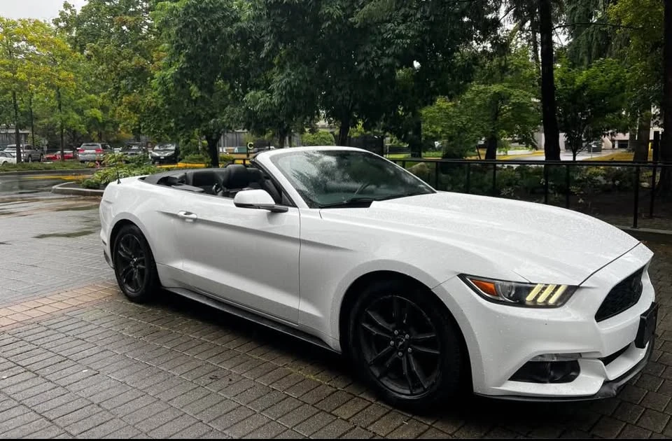 2017 Ford S550 Mustang - Image 19 of 19