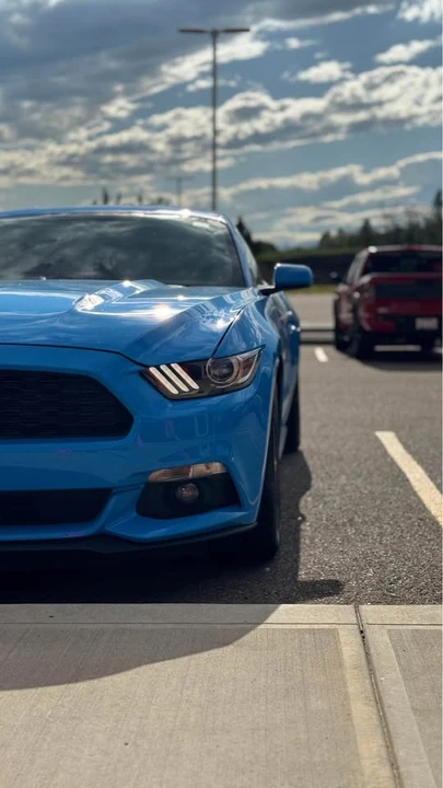 2017 Ford S550 Mustang - Image 4 of 20