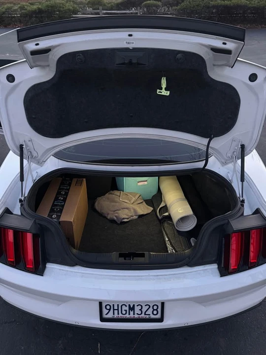 2017 Ford S550 Mustang - Image 15 of 15