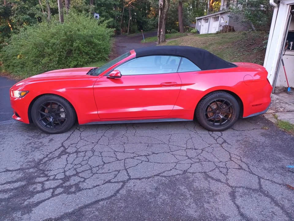 2017 Ford Mustang Mach-E - Image 11 of 11
