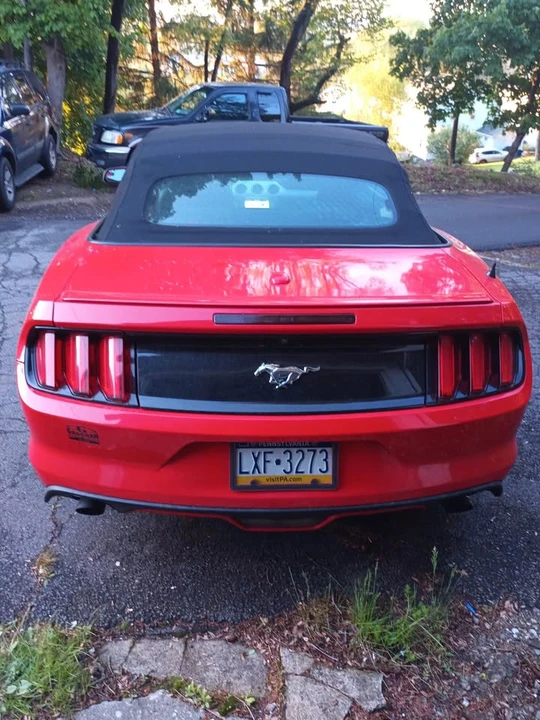 2017 Ford Mustang Mach-E - Image 9 of 11