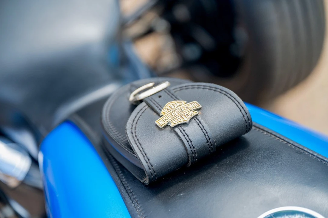 2017 Harley-Davidson Sportster Rubber Mount - Image 30 of 30