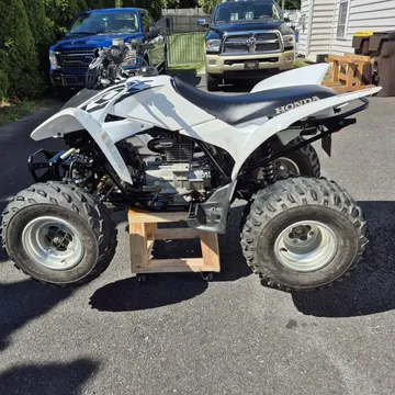 2017 Honda TRX 250