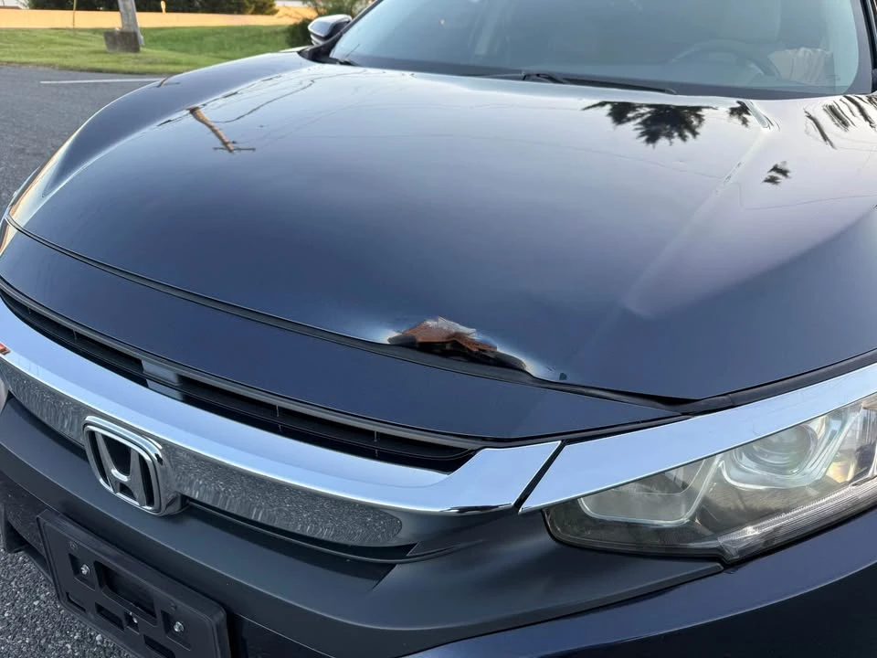 2017 Honda Civic 10th Gen - Image 16 of 17