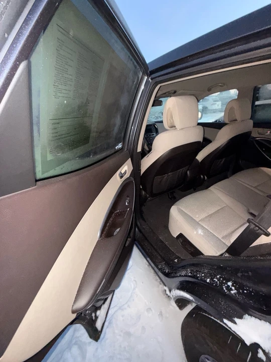2017 Hyundai Santa Fe - Image 11 of 11
