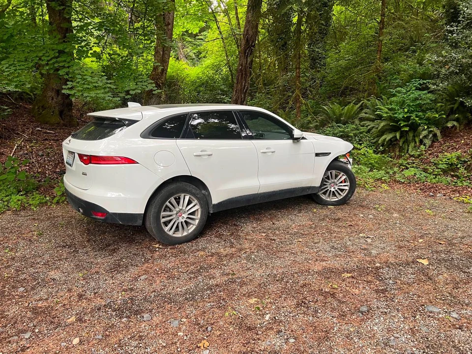 2017 Jaguar F-Pace - Image 11 of 11