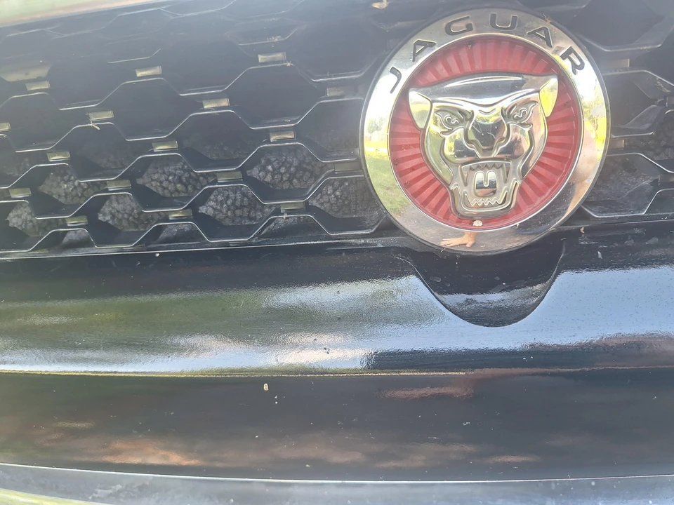 2017 Jaguar F-Type 1st Gen - Image 30 of 31