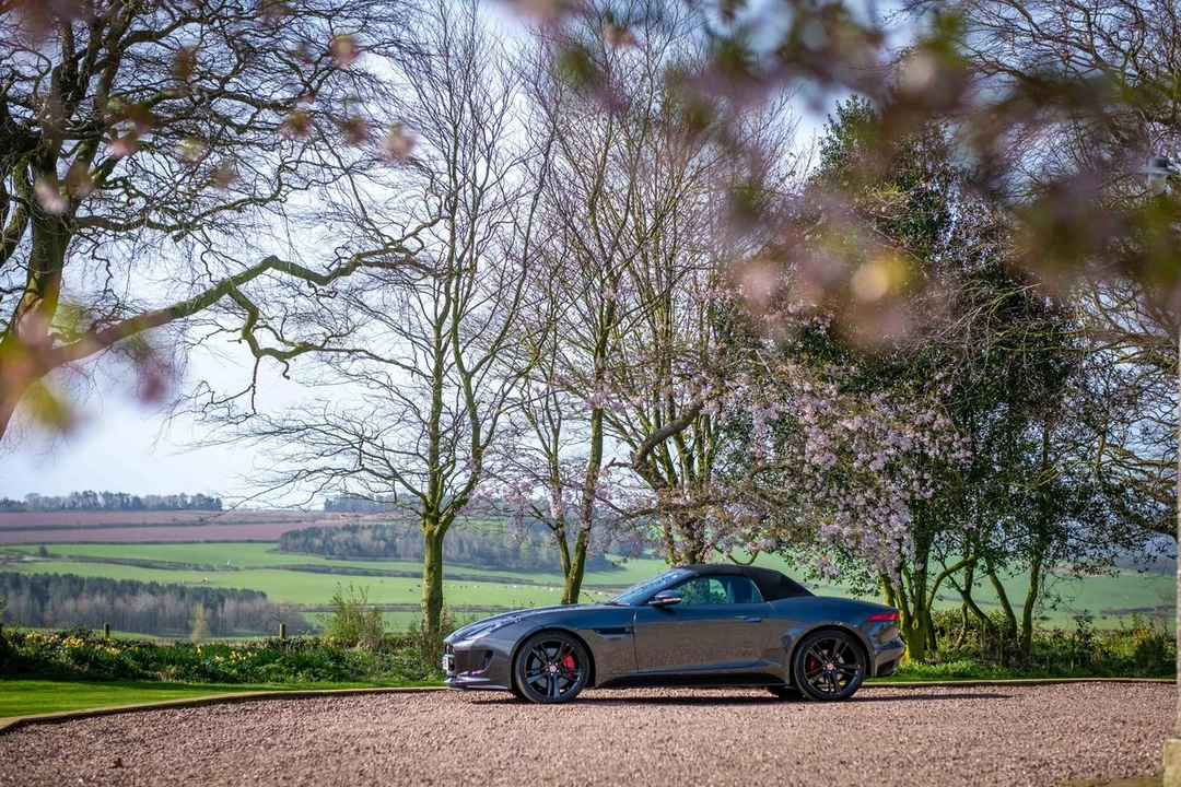 2017 Jaguar F-Type 1st Gen - Image 4 of 30