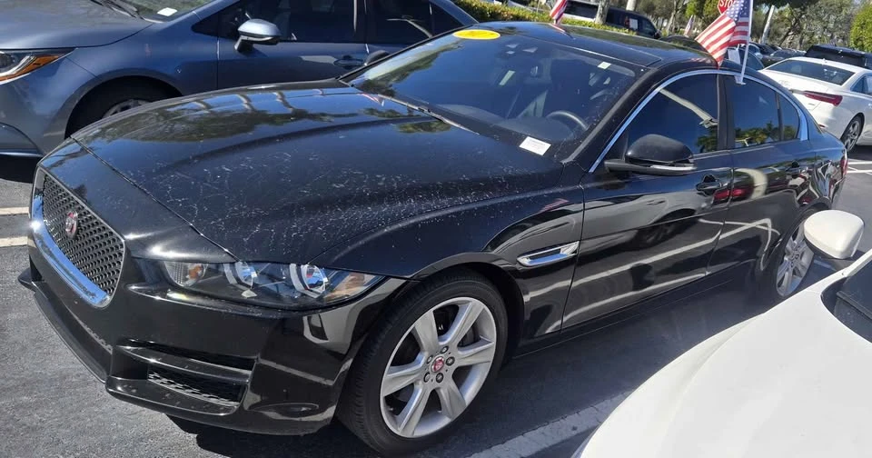 2017 Jaguar XE - Image 5 of 16