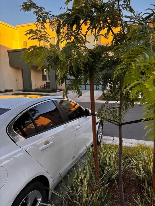 2017 Jaguar XE - Image 6 of 13