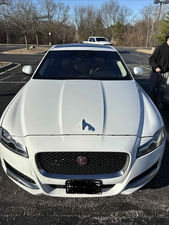 2017 Jaguar X260 XF - Image 5 of 10