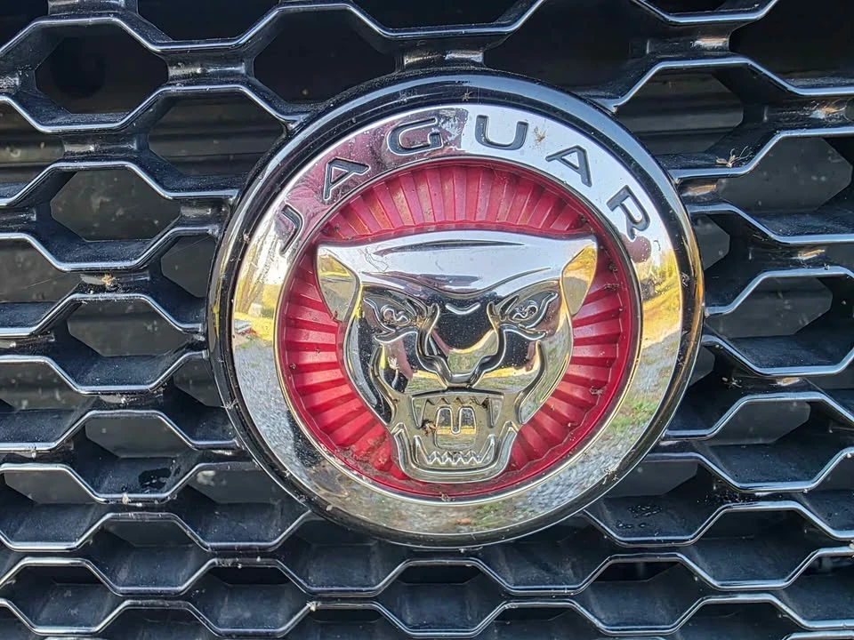 2017 Jaguar F-Pace - Image 7 of 10