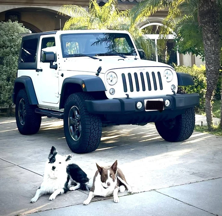 2017 Jeep JK Wrangler - Image 9 of 9