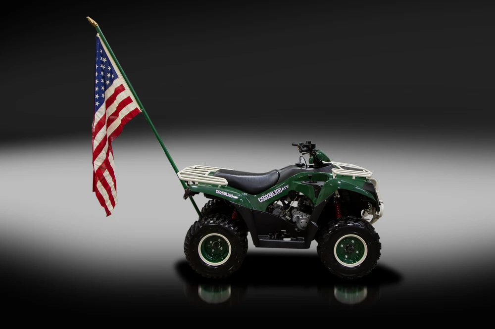 2017 Kawasaki - Image 6 of 6