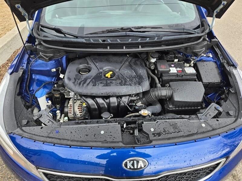 2017 Kia Forte - Image 20 of 20