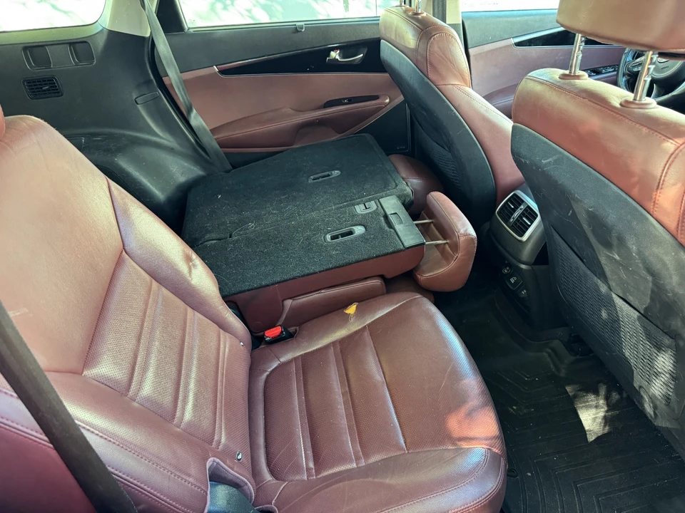 2017 Kia Sorento - Image 20 of 21