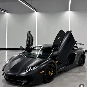 2017 Lamborghini Aventador SV Coupe