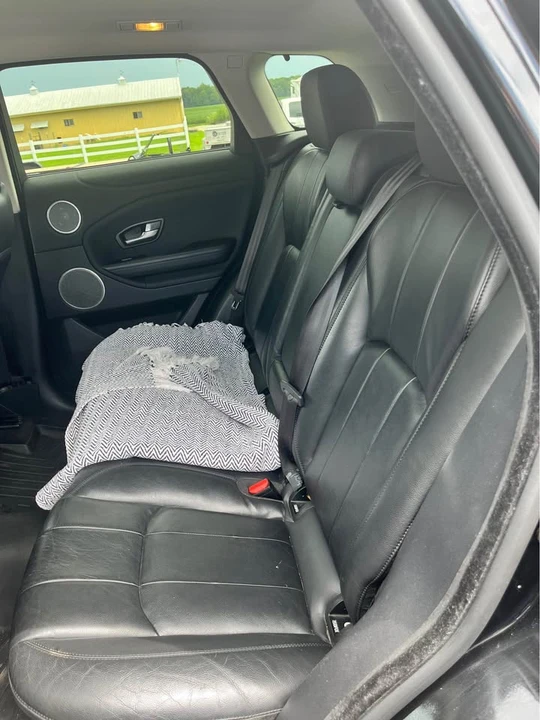 2017 Land Rover Range Rover Evoque 1st Gen - Image 3 of 5