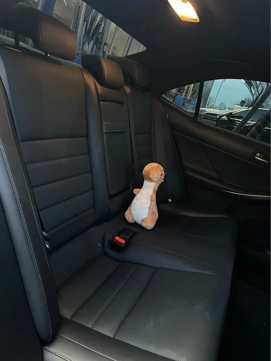 2017 Lexus IS 3rd Gen - Image 16 of 20