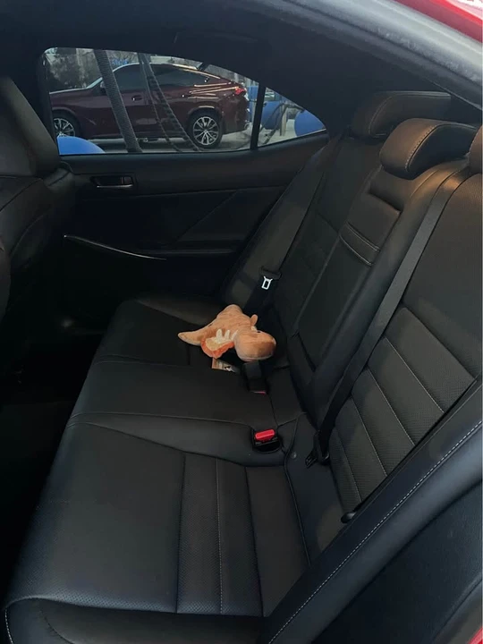 2017 Lexus IS 3rd Gen - Image 14 of 20