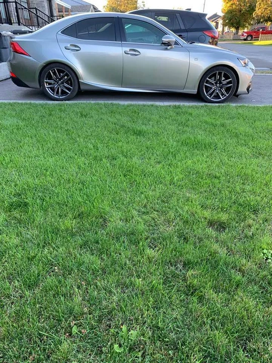 2017 Lexus IS 3rd Gen - Image 8 of 10