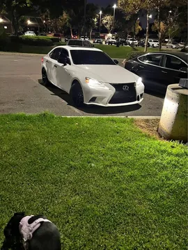 2017 Lexus IS F Sport Sedan 4D