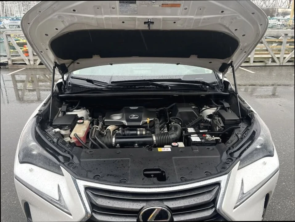 2017 Lexus NX 1st Gen - Image 17 of 18