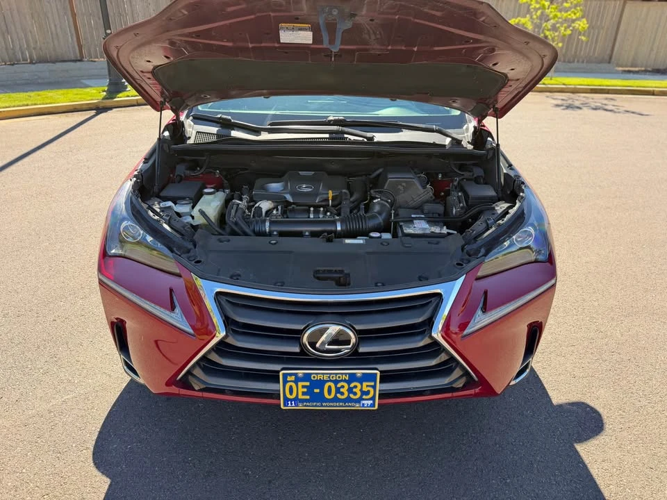 2017 Lexus NX 1st Gen - Image 20 of 21
