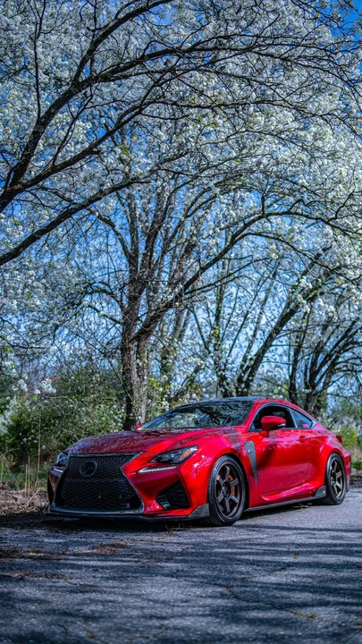 2017 Lexus RC F - Image 16 of 23