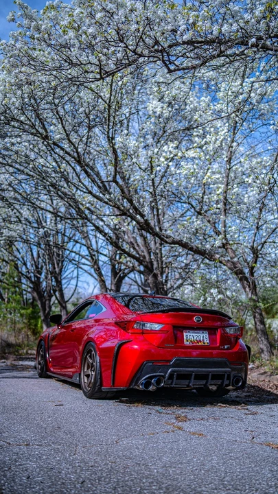2017 Lexus RC F - Image 15 of 23