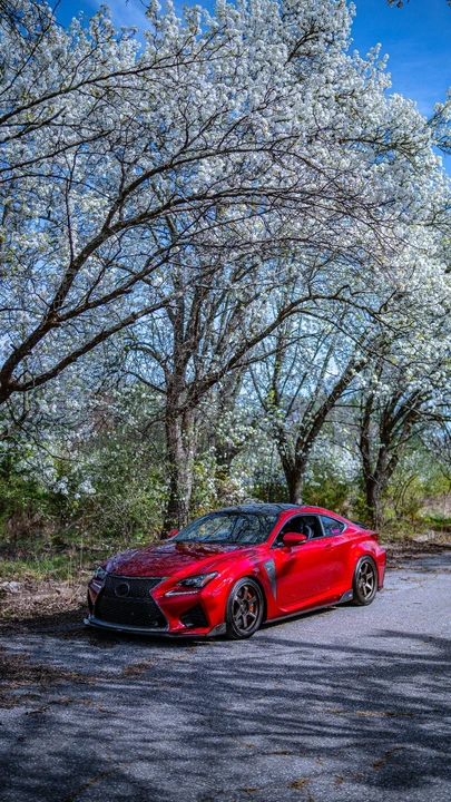 2017 Lexus RC F - Image 14 of 23
