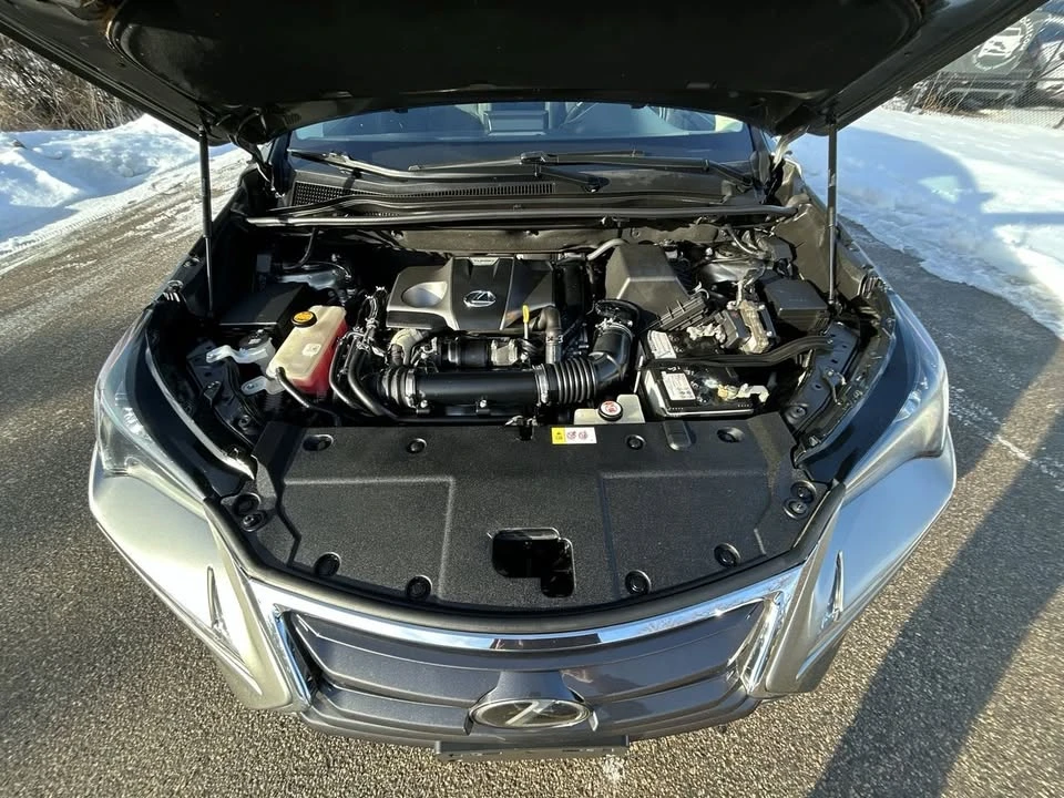 2017 Lexus NX 1st Gen - Image 18 of 19