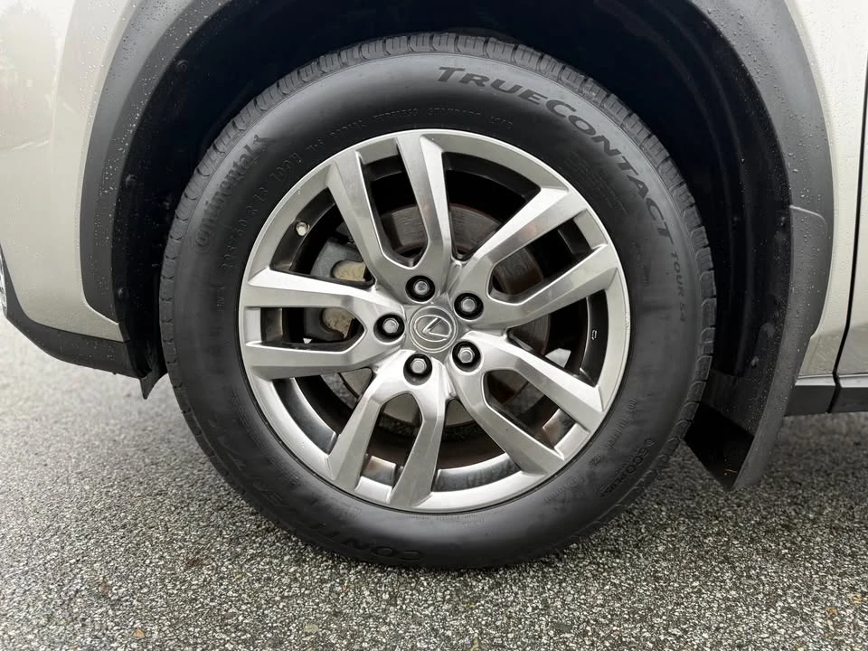 2017 Lexus NX 1st Gen - Image 19 of 20