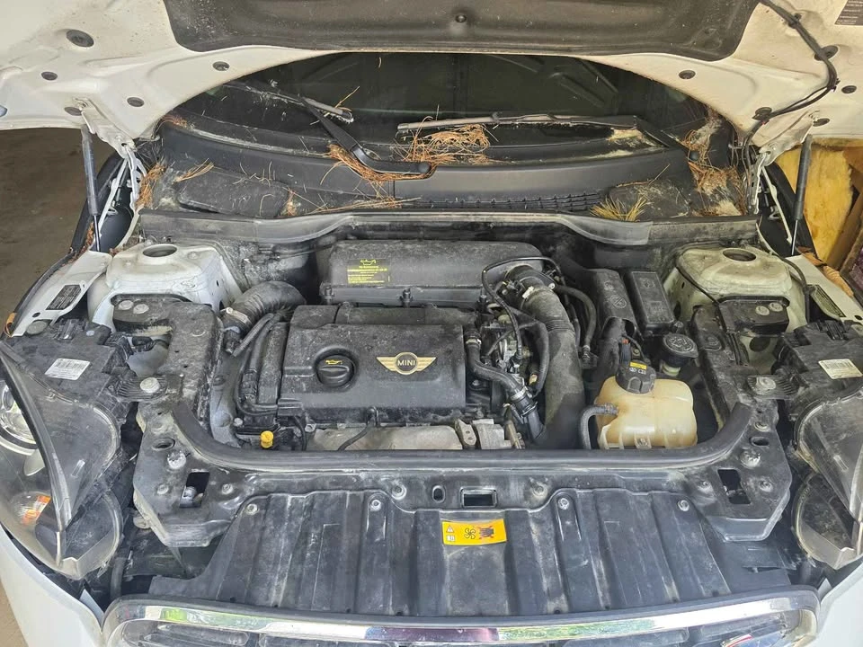 2017 Mini Mini 3rd Gen - Image 15 of 16