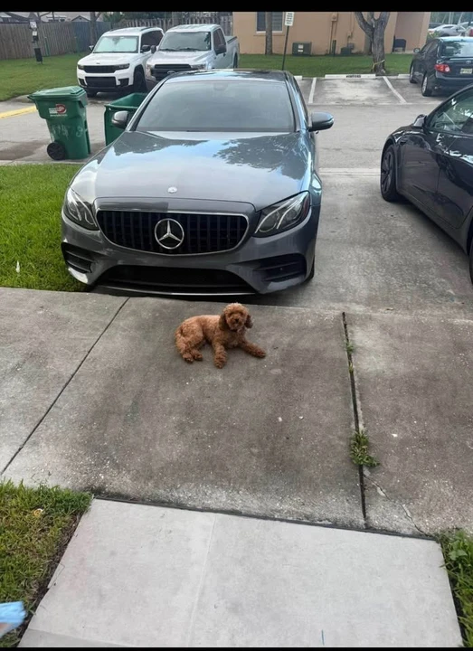 2017 Mercedes-Benz W213 E-Class - Image 3 of 6