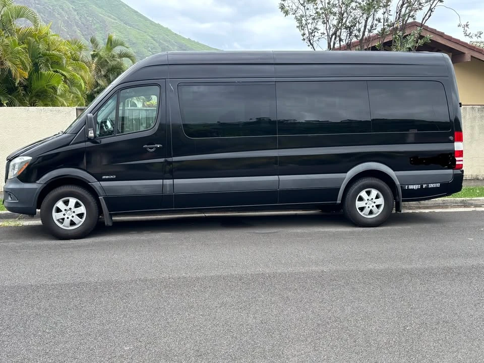 2017 Mercedes-Benz NCV3 Sprinter - Image 13 of 14